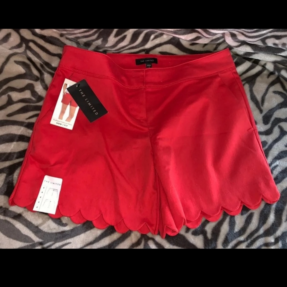 NWT The Limited Scalloped Short